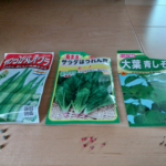 野菜育ててます