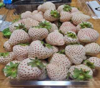 食を求めて