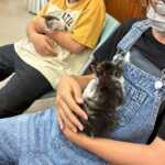 『かわいいだけじゃダメですよ』