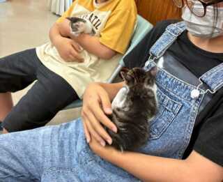 『かわいいだけじゃダメですよ』