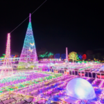 イルミネーション