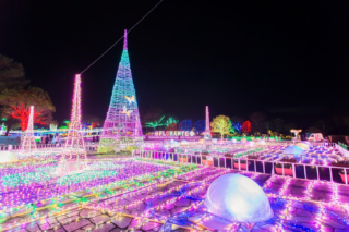 イルミネーション